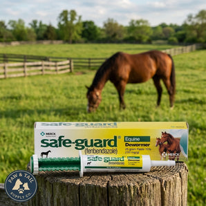 Safe-Guard Equine Paste 10% Fenbendazole Horse Wormer 25g