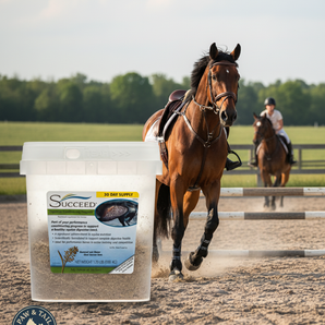 Succeed Digestive Conditioning Supplement Program Horses 1.79lbs.
