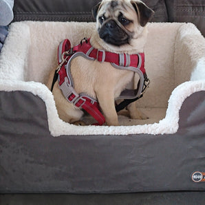 K&H Rectangle Pet Booster Pet Dog Car Seat - Large Grey