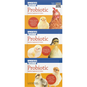 Sav-A-Chick Probiotic Digestive Health Supplement Poultry 9PCK