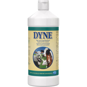 PetAg Dyne High Calorie Liquid Nutritional Supplement for Livestock 32 oz.