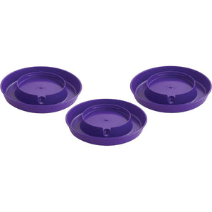 Little Giant Plastic Screw-On Waterer Base 1 Gallon, Purple 3-Pack