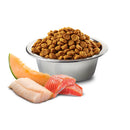 Farmina Salmon, Cod, and Cantaloupe Melon Adult Dog Food Medium & Maxi 5.5lbs