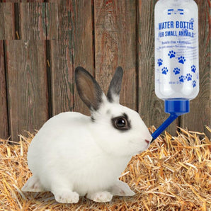Marshall Pet Products Water Bottle for Small Animals Clear Design Easy to Fill