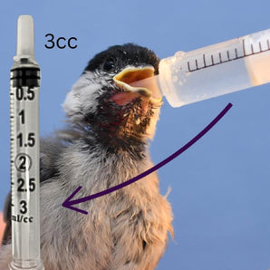 Syringe 3ml Luer Slip with Cap No Needle 100CT LS