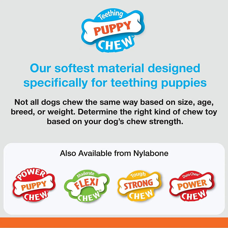 Nylabone Puppy Chew Textured Ring & Bone Chicken, MD/Wolf 2PK Nylabone