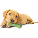 Nylabone Teething Puppy Bone Chew Toys Up to 35 lbs. Nylabone