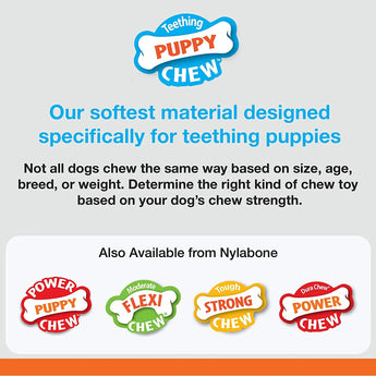 Nylabone Teething Puppy Bone Chew Toys Up to 35 lbs. Nylabone