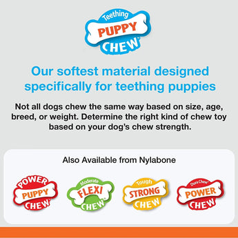 Nylabone Teething Puppy Bone Chew Toys Up to 35 lbs. Nylabone
