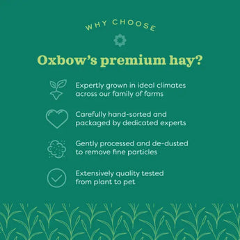 Oxbow Timothy Meadow Hay 35 oz. Oxbow