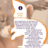 Piccard Pets Aloe and Oats Shampoo Fresh Ferret 12 oz. Piccard Meds 4 Pets