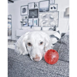 Play Strong Rubber Ball Chew Toy for Dogs Ethical Pets