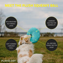 Playology Plush Squeaky Ball Dog Toy for Moderate Chewers, Large PLAYOLOGY