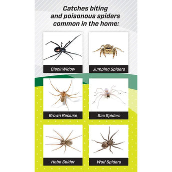 RESCUE! Spider Traps, 3 Traps Rescue!