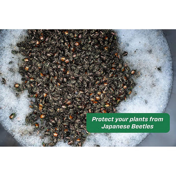 Rescue! Japanese Beetle Trap Reusable Bag RESCUE