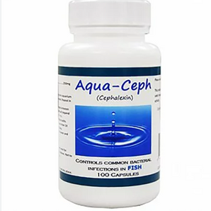Fish Ceph 250mg 100CT Manufacturer can differ