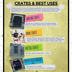 Free Dog Crate Training Course