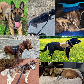 German Shepherd Malinois Large Dog Harness and Leash Set – Training Walking Vest for Medium & Large Dogs