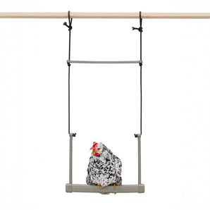 Backyard Chicken Swing – Durable, Recycled Material for Flock Activity
