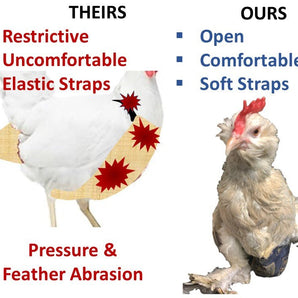 Hen Holster Chicken Diaper Harness with Permanent Sewn-in Liner (Duck Diaper, Goose Diaper, Parrot Diaper)