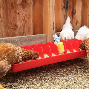 Little Giant Plastic Poultry Trough Feeder - 20 Inch Wide Spacing for Chickens & Ducks