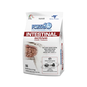 Forza10 Active Intestinal Anchovy Adult Dog Food