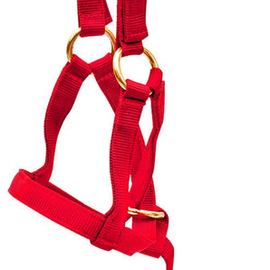 Jeffers Nylon "Grow With Me" Weanling Horse Halter