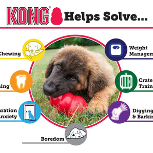 KONG Extreme Treat-Stuffing Dog Toy for Power Chewers