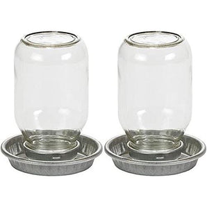 Little Giant Glass Mason Jar Baby Chick Waterer, 1 Quart Little Giant