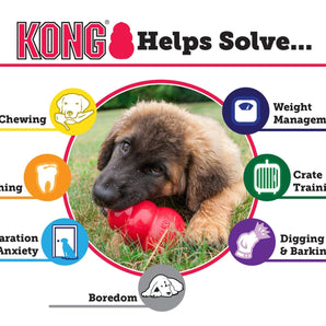 Puppy KONG Treat-Stuffing Chew Dog Toy