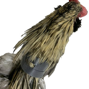 Rooster Saver Volume-Reducing Crow Collar (Made in USA)