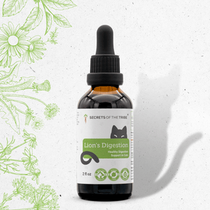 Lion's Digestion - Healthy Digestion Support in Cats