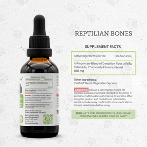 Reptilian bones - Healthy Bones Support in Reptiles
