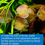 API 5-In-1 Test Strips Freshwater and Saltwater Aquarium Test Strips 100-Count Box API