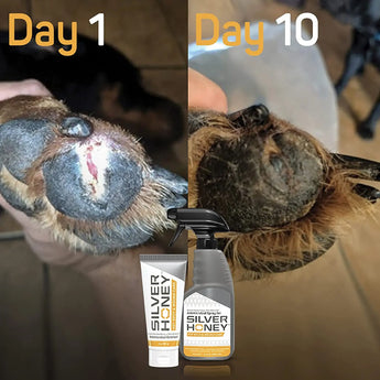 Absorbine Silver Honey Hot Spot & Wound Care Spray Gel for Dogs 8 oz. Absorbine