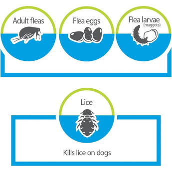 Advantage II Flea Prevention and Treatment XL Dogs Over 55lbs 4CT Bayer