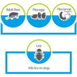 Advantage Shampoo Flea and Tick Treatment for Dogs & Puppies 24 oz. Bayer