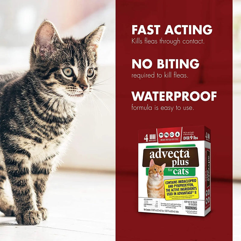 Advecta Plus Flea Protection Squeeze-On for Cats Over 9lbs 4CT Advecta