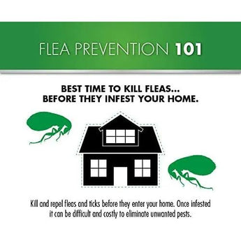 Advecta Plus Flea Protection Squeeze-On for Cats Over 9lbs 4CT Advecta