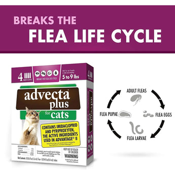 Advecta Plus Flea and Tick Treatment for Small Cats 4 Count Advecta