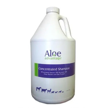 Aloe Advantage Protein & Keratin Concentrate Shampoo 1 Gallon Aloe Advantage