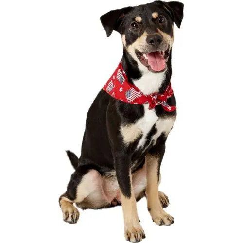 Aria Paws N' Stripes Forever Bandanas for Dogs aria