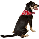 Aria Paws N' Stripes Forever Bandanas for Dogs aria