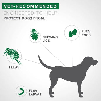 Bayer Advantage II Flea Treatment Small Dogs 11-20 lbs. 4PCK Bayer