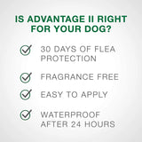 Bayer Advantage II Flea Treatment Small Dogs 11-20 lbs. 4PCK Bayer