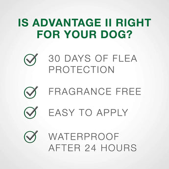 Bayer Advantage II Flea Treatment Small Dogs 11-20 lbs. 4PCK Bayer