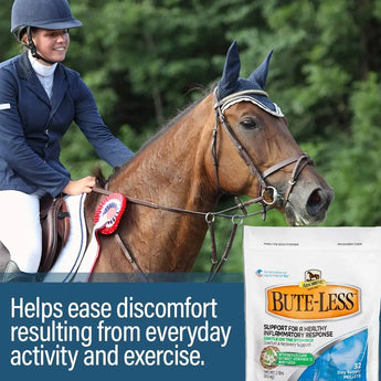 Bute-Less Comfort & Recovery Joint Supplement with B-12 for Horses Absorbine