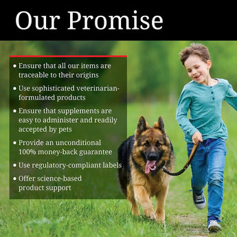 Cetyl M Advance Healthy Hips & Joints Action Care for Dogs 360 Tablets Nutri-Vet