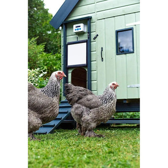 ChickenGuard Extreme Automatic Chicken Coop Door Opener ChickenGuard