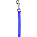 Coastal Pet Nylon Dog Leash with Bolt Snap, 3/8" x 4-Feet, Blue Coastal Pet